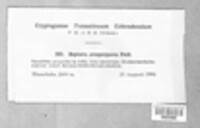 Image Associated With the Occurence